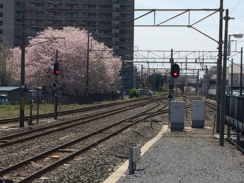 やっと震災復興に